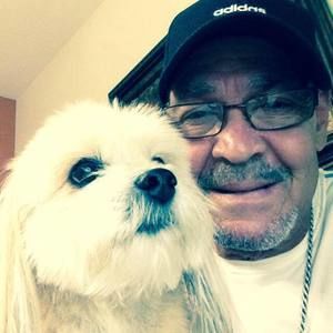 Meet your Posher, Luis